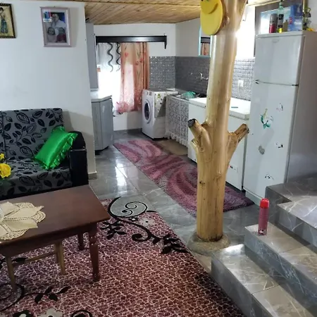 Bujtina Kashnjeti Te Lush Zefi