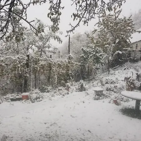 Bujtina Kashnjeti Te Lush Zefi * Tropoje