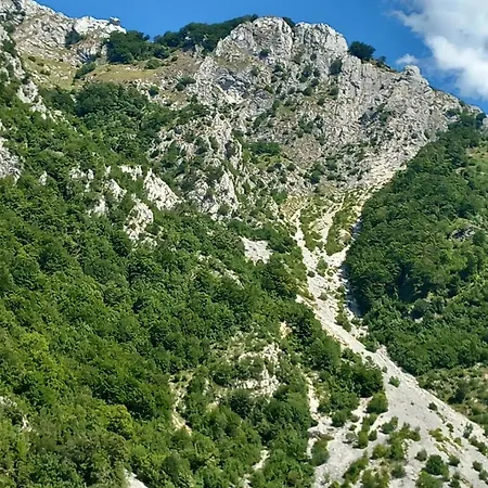 Bujtina Kashnjeti Te Lush Zefi Tropoje